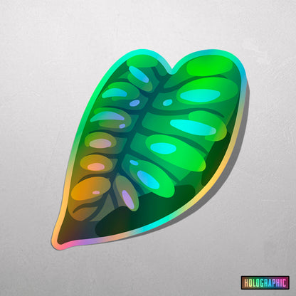 LEAF | Monstera Acuminata Sticker