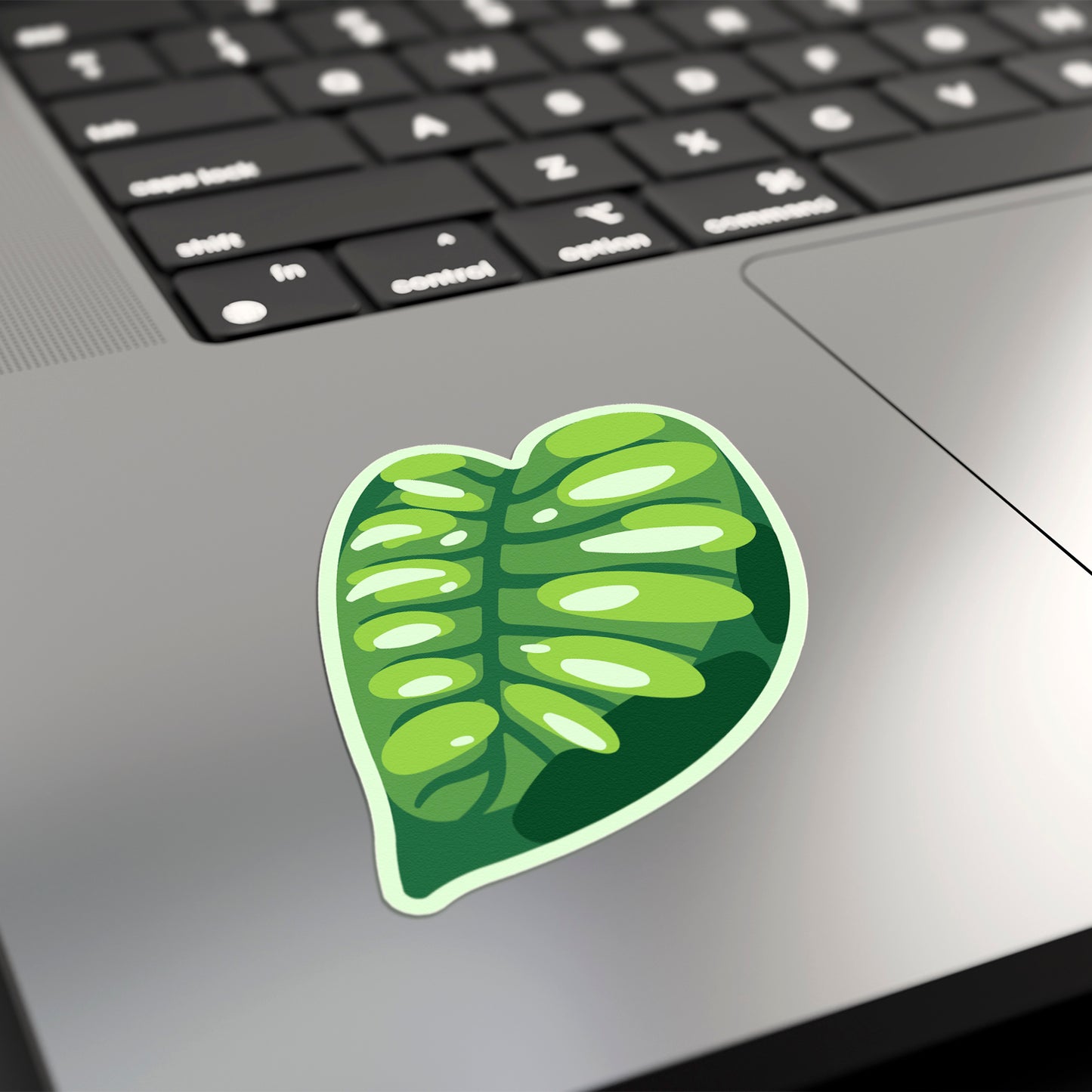LEAF | Monstera Acuminata Sticker