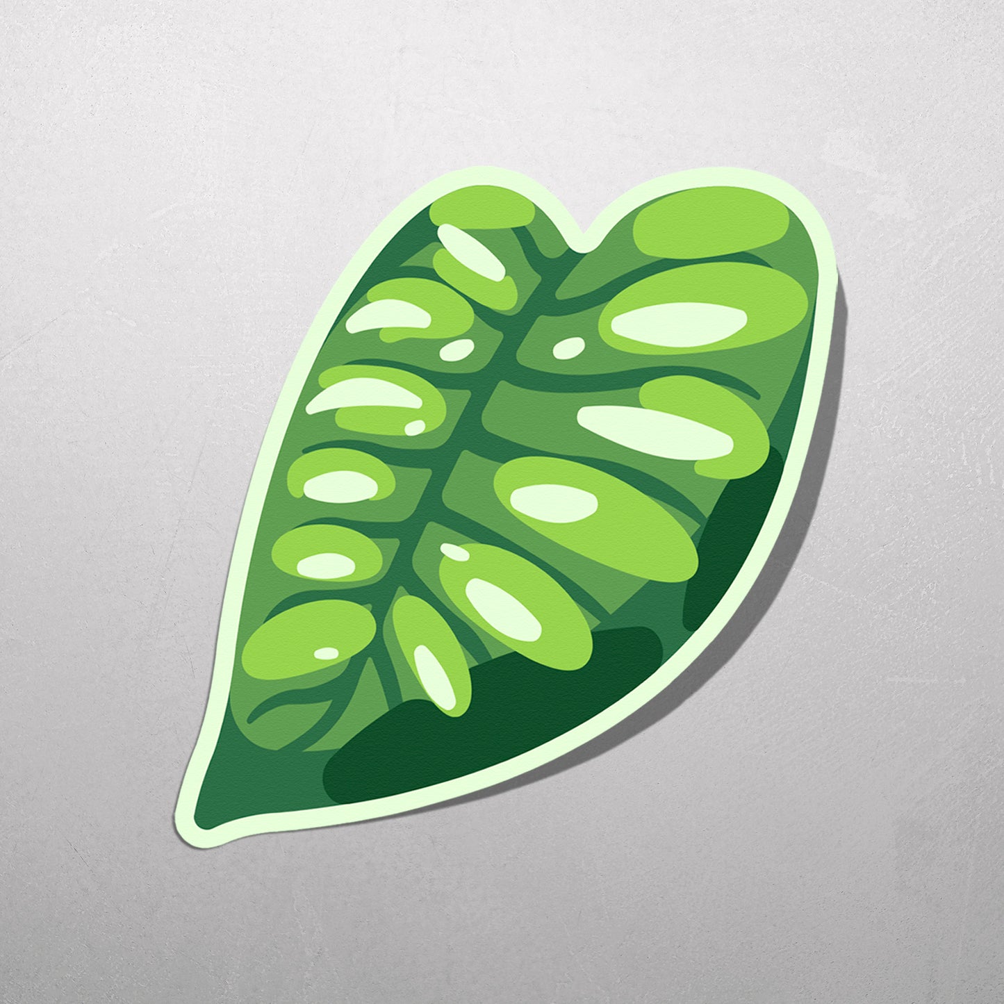 LEAF | Monstera Acuminata Sticker
