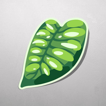 LEAF | Monstera Acuminata Sticker