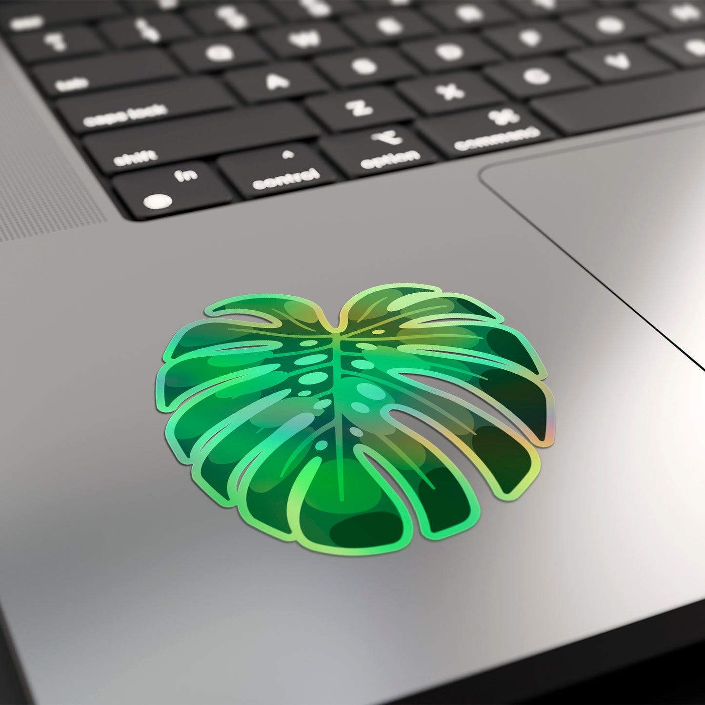 LEAF | Monstera Deliciosa Sticker