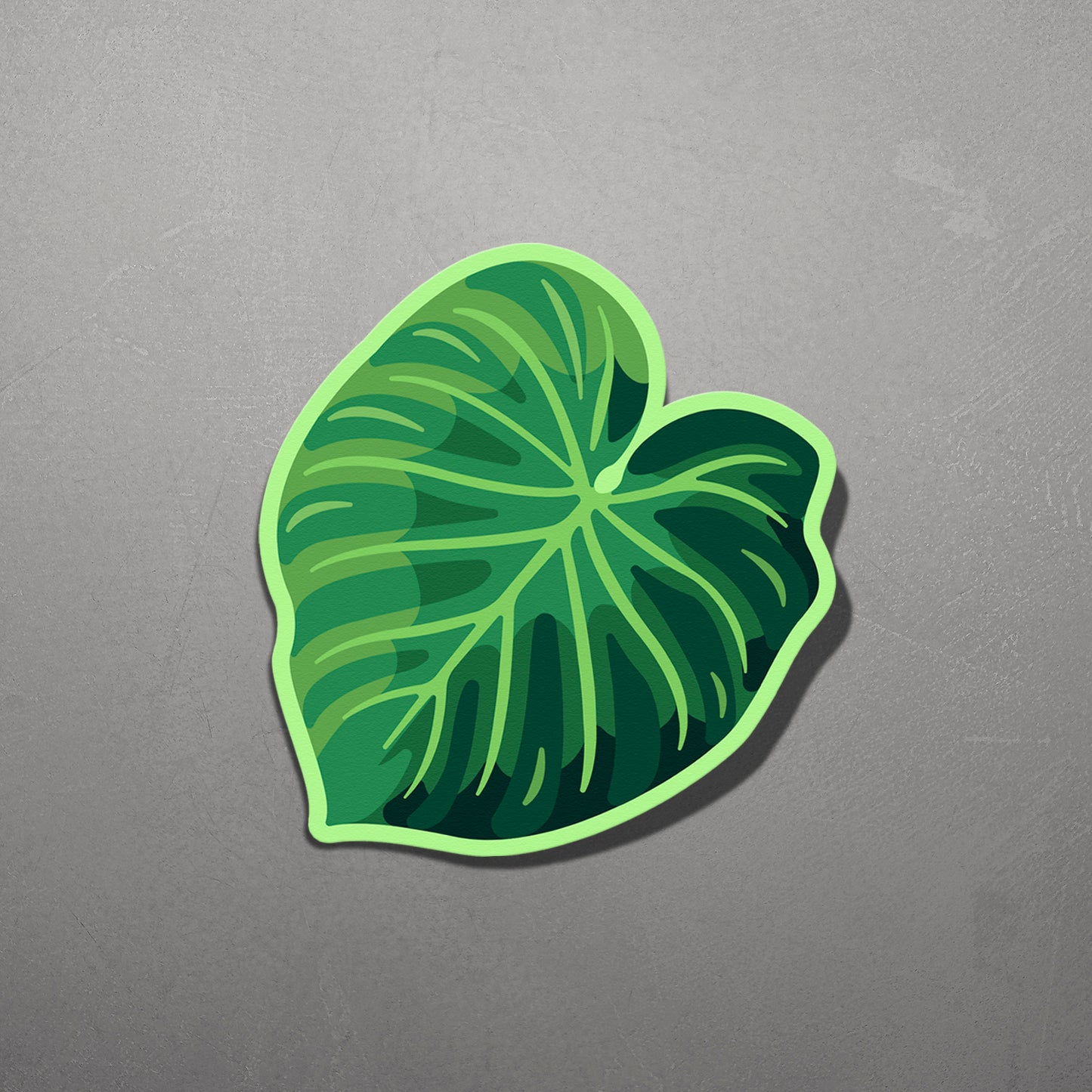 LEAF | Philodendron Verrucosum Sticker