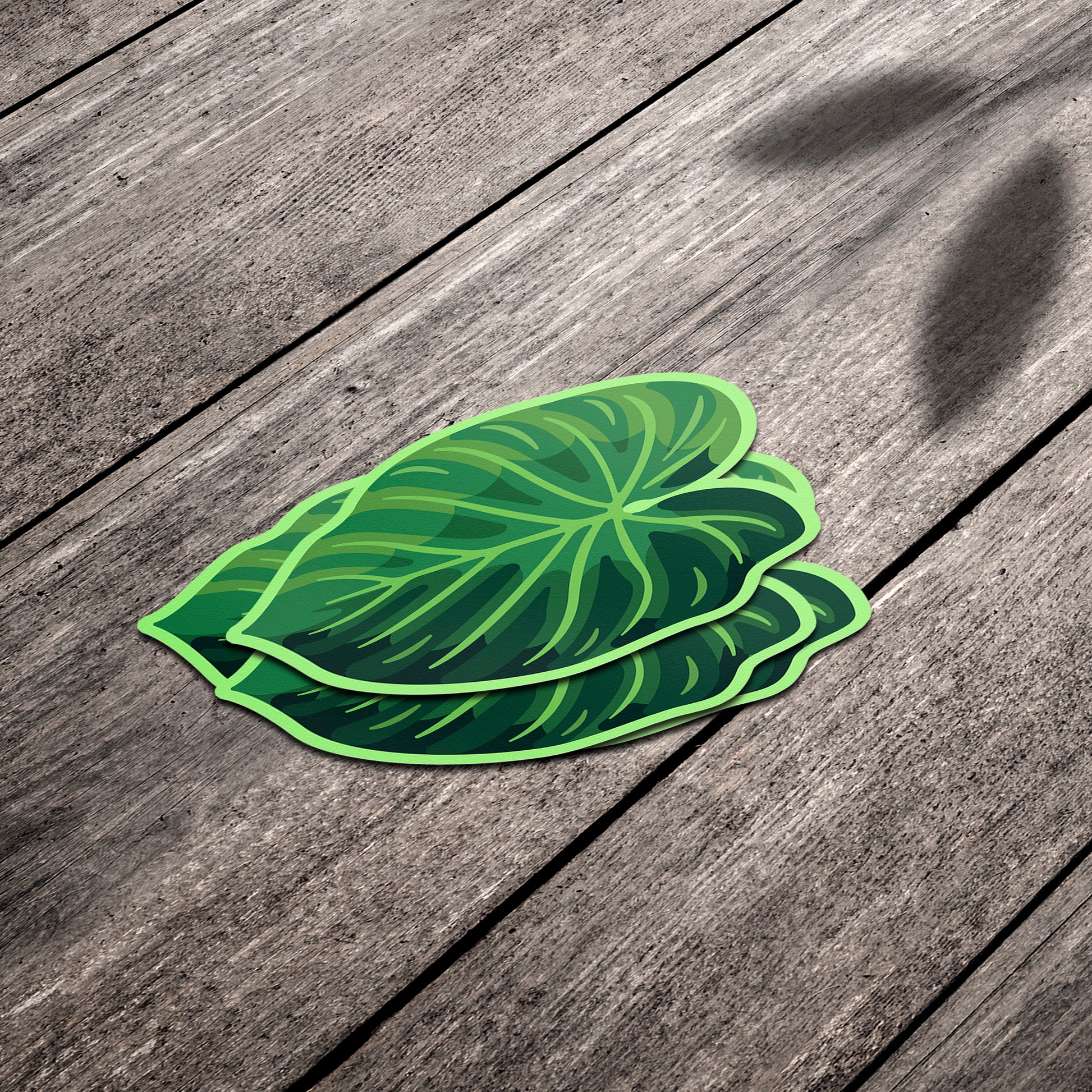 philodendron symbolism Philodendron Verrucosum Sticker