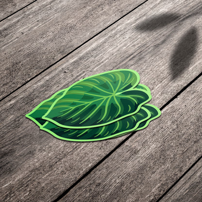 LEAF | Philodendron Verrucosum Sticker