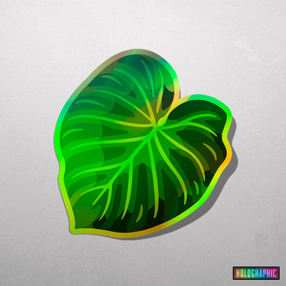 LEAF | Philodendron Verrucosum Sticker