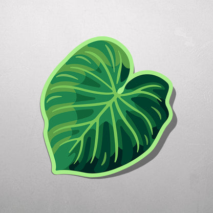 LEAF | Philodendron Verrucosum Sticker