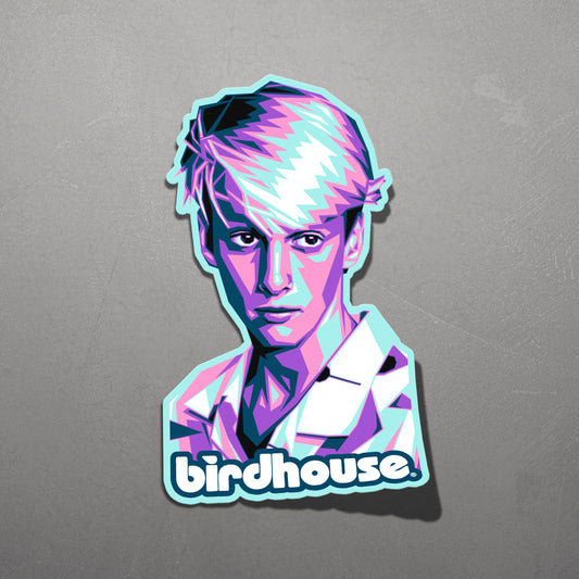 TONY HAWK | Sticker