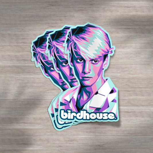 TONY HAWK | Sticker