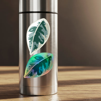 LEAF | Variegated Ficus Sticker