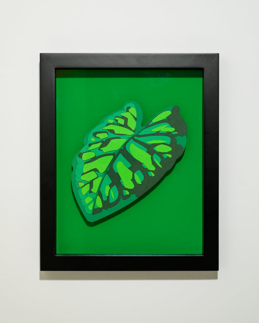 'ALOCASIA DRAGONSCALE' | Leaf