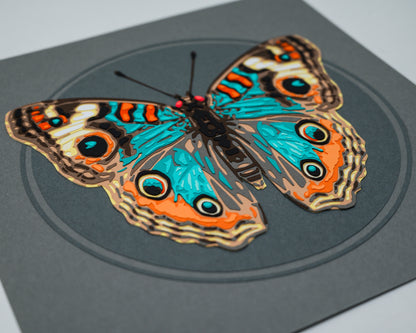 'JUNONIA' | Dark Colorway