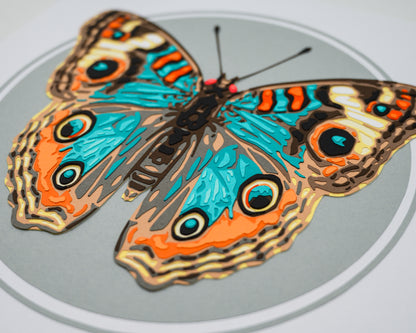 'JUNONIA' | Light Colorway